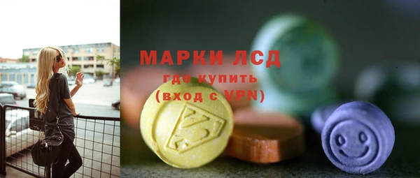spice Богданович