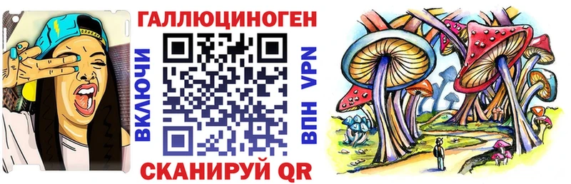 omg зеркало  Купино  Галлюциногенные грибы GOLDEN TEACHER 