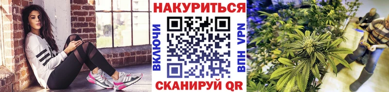 ОМГ ОМГ ссылки  Купино  Канабис планчик  купить наркотики сайты 